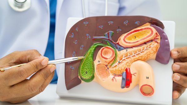 Chronic Cholecystitis | Symptoms, Causes & Treatment